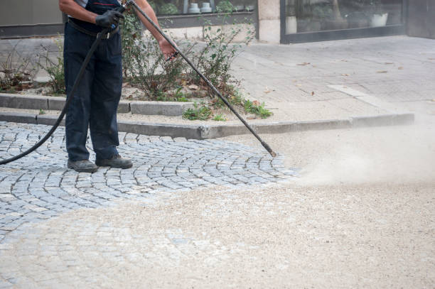 Best Gutter Cleaning  in Santa Paula, CA